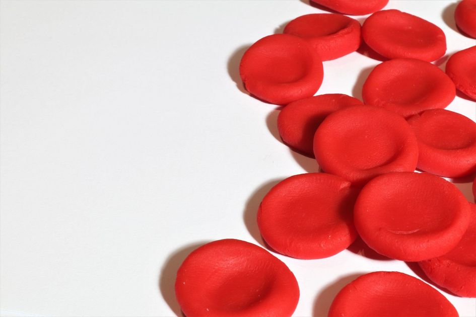 Anemia y Día Mundial de la Alimentación: Claves para prevenir